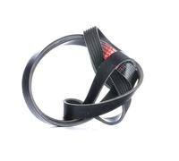 GATES 6PK1550XS Cinghia servizi per VW Transporter V Van (7HA, 7HH, 7EA, 7EH)