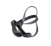 Cinghia Poly-V GATES 6PK1565