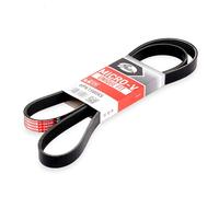 Cinghia trapezoidale multirighe 6PK1580XS GATES per AUDI SEAT