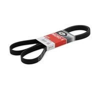 GATES 6PK1718 Cinghia servizi