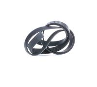 GATES 6PK1753 Cinghia servizi