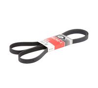 Cinghia Poly-V GATES 6PK1903