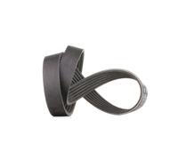 GATES 6PK730 Cinghia servizi nero