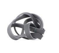 GATES 7DPK1880 Cinghia servizi per BMW X5 (E70) 5 Limousine (F10) X6 (E71, E72)