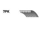 GATES cinghia Poly-V 7PK1103 7PK1103 7 nervature 1.103 mm