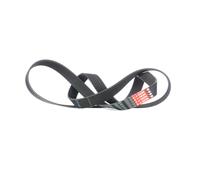 Cinghia AutoStar Germany V-Ribbed 11287843246 per BMW M5 M6 F10 F12 F13 4.4L V8