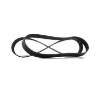 GATES 7PK1675 Cinghia servizi Cinghia Poly-V Cinghia alternatore Cinghia dei servizi