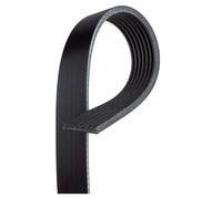 GATES 7PK1843 Cinghia servizi Cinghia Poly-V Cinghia alternatore Cinghia dei servizi