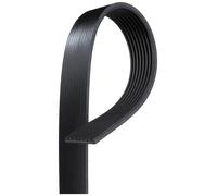 GATES 8PK1972HD Cinghia Poly-V per DAF,MERCEDES-BENZ