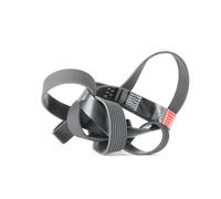 8PK2485 Cinghia Poly-V (MARCA-GATES)