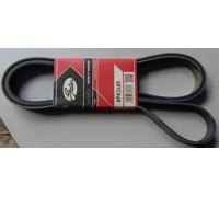 8PK2485 Cinghia Poly-V (MARCA-GATES)