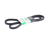 GATES AV17x1650HD Cinghia trapezoidale
