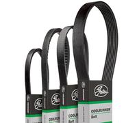 GATES CB0030 Cinghia trapezoidale Cinghia Scanalate Cinghia trapezoidale dentellata Cinghie di trasmissione trapezoidali