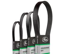 Cinghia Poly-V GATES GATCB0049