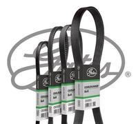 Cinghia Poly-V GATES GATCB0063