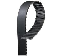 GATES Charter Line Chingia Di Distribuzione 1256RM