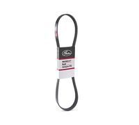 Cinghia trapezoidale multirighe 7PK975XS GATES per SUZUKI IGNIS III SWIFT V