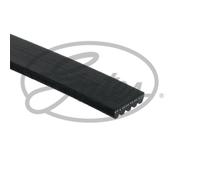 GATES Cinghia A V Per Subaru Forester SG SH Outback BL BP BR Alfa Romeo