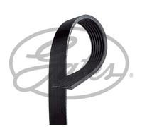 GATES Cinghia A Vite Adatta Per Ford Ranger 3.2 TDCi 4x4