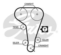 GATES Cinghia Distribuzione Dentata per Ford Mondeo I Torneo BNP 1.8i 16V 1.6i