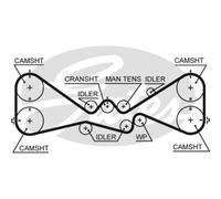 GATES Cinghia Distribuzione Dentata per Subaru Forester Sh _ 2.0 AWD 2.5 Sg