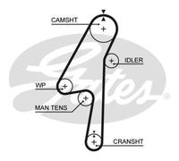 GATES Cinghia Distribuzione Dentata per Volvo XC90 I 275 D5 AWD D3/D5 XC60 156