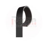 Filtro olio K&N KN-152
