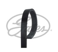 GATES Cinghia Scanalata Adatto A per BMW 5er 3er Mitsubishi Space Star COLT V
