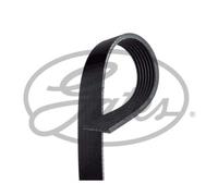GATES Cinghia Scanalata Adatto A per Ford Transit Bus Tourneo Audi A8