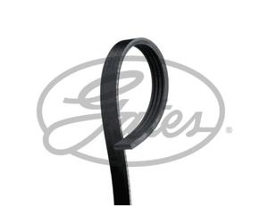 GATES Cinghia Scanalata Adatto A per Mazda MX-5 II 323 F VI BMW X5 X3