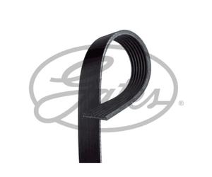 GATES Cinghia Scanalata Adatto A per Subaru Forester Legacy V Station Wagon