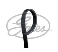 GATES Cinghia Scanalata Adatto A per Toyota Yaris / Vios Berlina 1.3