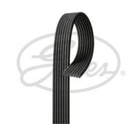 GATES Cinghia Scanalata Adatto A per VW Phaeton 3.2 V6 4motion