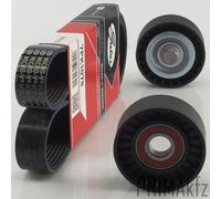 Gates Cinghia Scanalata + Galoppino per Fiat Ducato 2.3 JTD 110 120 Multijet