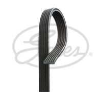 GATES Cinghia Scanalata per BMW 1er 118d 116d 120d 123d 3er Touring