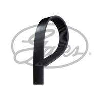 GATES Cinghia Scanalata per Mercedes-Benz Vario Scatola/Familiare Tipper O