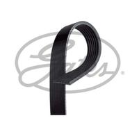 GATES Cinghia Scanalata per Opel Movano Combi Vivaro Scatola Nissan Primastar