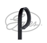 GATES Cinghia Scanalata per Renault Clio II Twingo I Dacia Sandero Logan
