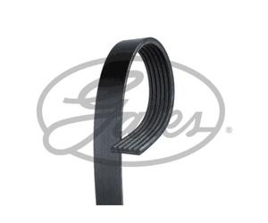 GATES Cinghia Scanalata per VW Multivan V Transporter Opel Astra J Mokka / X