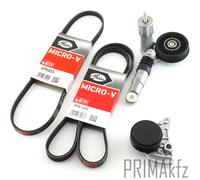 Gates Cinghia Scanalata + Tendicinghia per Audi A4 VW Golf 4 Passat 3B 1.9 Tdi