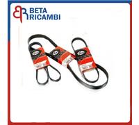 Gates Cinghia Ventola Alternatore per Fiat Marea Multipla Lancia Lybra 4PK924SF
