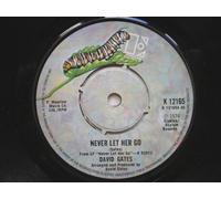 Gates, David - Gates, David Never Let Her Go 7" Elektra K12165 EX 1974