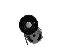 GATES T39010 Rullo tenditore cinghia Poly-V