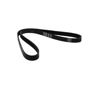 Cinghia Poly V Gates 5PK868SF Micro-v® Stretch Fit® per Ford Volvo