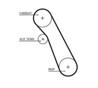 GATES Kit cinghie dentate per FORD MAZDA K015541XS