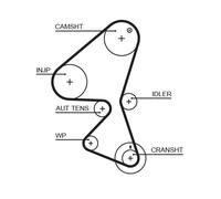 Kit cinghie dentate - GATES K015587XS