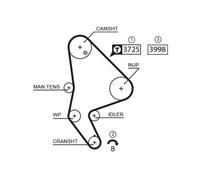 GATES K015588XS KIT CINGHIE DENTATE