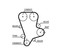 GATES K015644XS KIT CINGHIE DENTATE