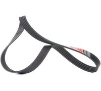 KP25649XS-1 KIT DISTRIBUZIONE GATES + POMPA ACQUA AUDI - A1 (8X1, 8XF) - 1.6 TDI
