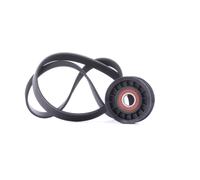 Set di cinghie Poly-V GATES K016PK1019SF